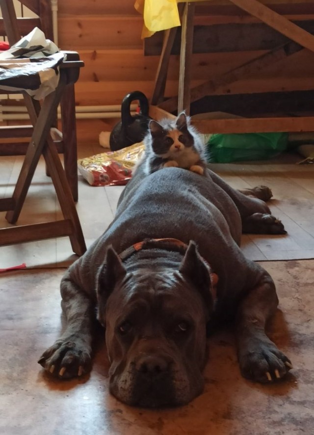 Картинки и мемы для настроения 05.08.2021