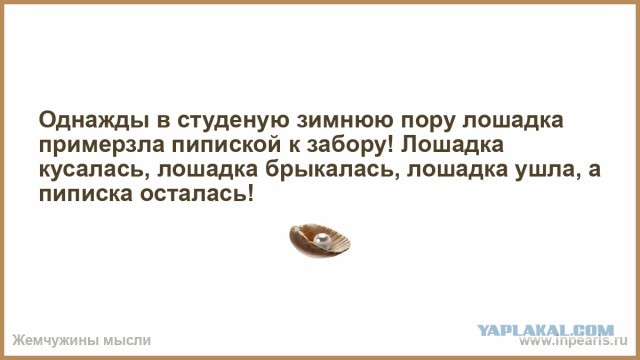 Однажды в студеную зимнюю пору стих текст. Однажды в студёную зимнюю пору примерзла. олнадды в стдуеннкю щимнюю пору лошпдка. однажды в студеную пору лошадка. однажды в зимнюю пору лошадка примерзла.