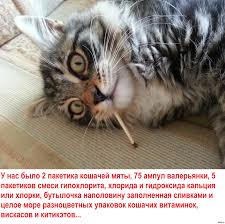 Мать заставляет жениться