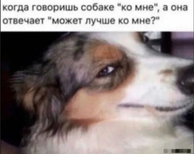 Так себе картинки 14.04.22