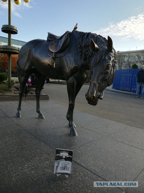 ЯП кругосветка. Этот проект завершился!