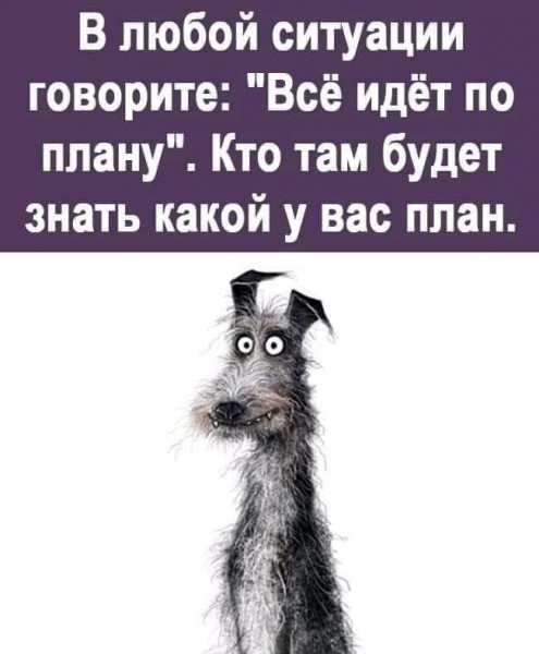 Картинки и мемы для настроения - 19