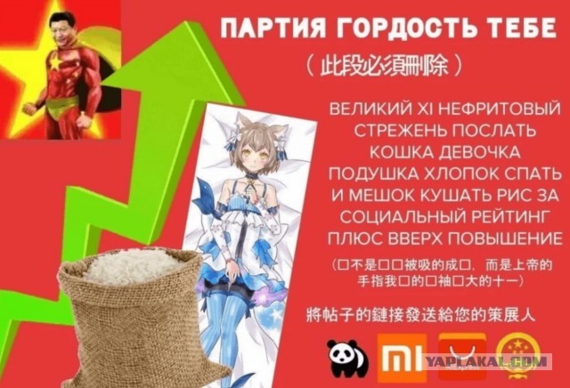 Спасение котейки