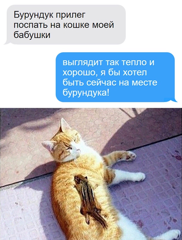 Картинки и мемы, всем хороших выходных