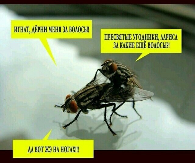 Народная меДИЧина 9003