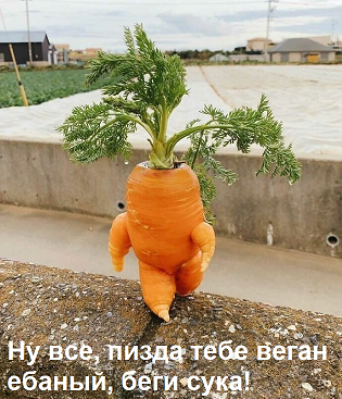 Прикольные и просто красивые картинки 25.10.2022