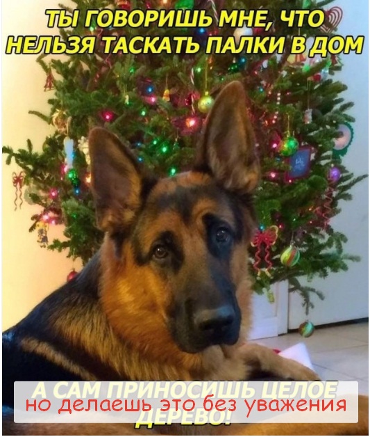 Так себе картинки 04.01.23