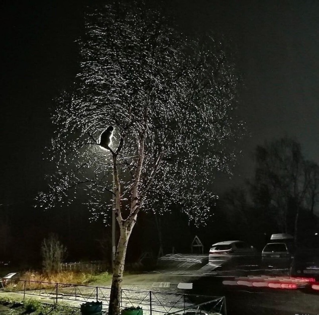ФотоВинегрет