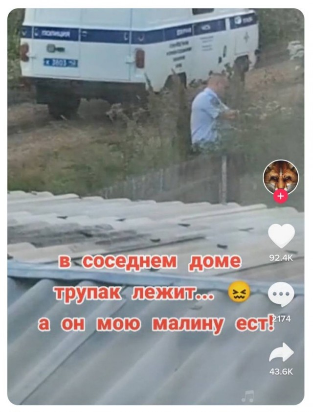 Всего понемногу. От 26.07.24