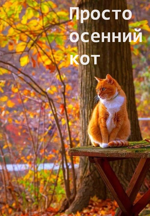 Картинки разные с надписями и без