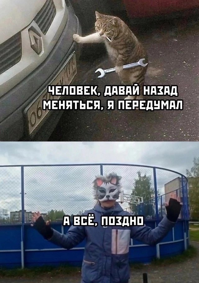 Так себе картинки 20.10.24