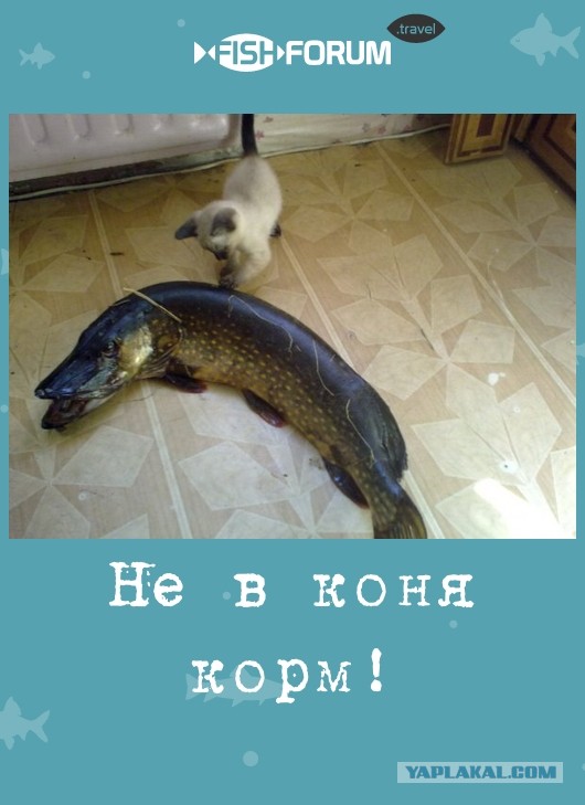 Почему ей никто не помог?