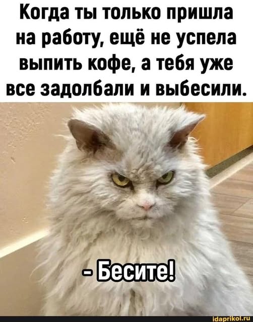 Весёлые картинки 2