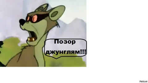 Мисс и Мистера студенчества выбрали в Москве