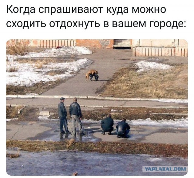В Госдуме посоветовали россиянам, переживающим из-за инфляции, находить радость в нематериальных вещах