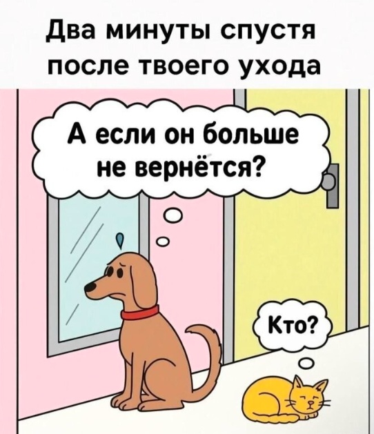 Так себе картинки 10.06.25