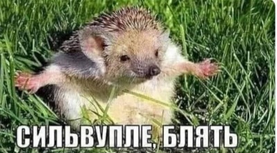 недоцифровизация