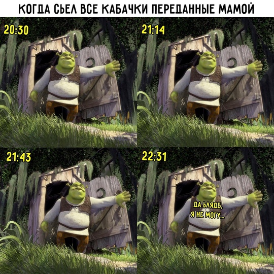 Весёлый полтишок 09.07.25