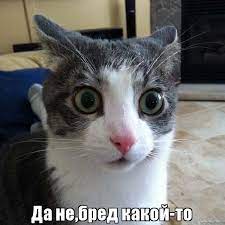 Против Михаила Ходорковского* и его пособников возбуждено дело по статьям о насильственном захвате власти