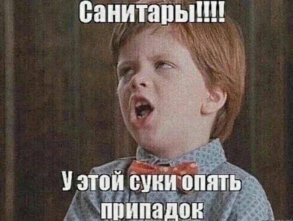 Что у неё в голове? Опилки?