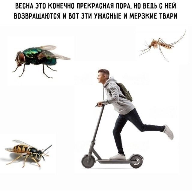 Субботние картинки