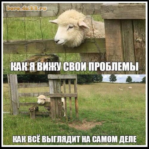 Здравое рассуждение