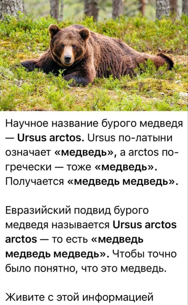 Маленькая пятница
