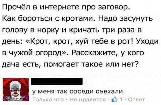 Картинки для деградации 262 (разной степени свежести)