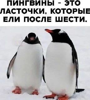 Контент для невзыскательной аудитории