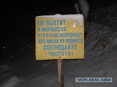 И снова прикольные пикчи