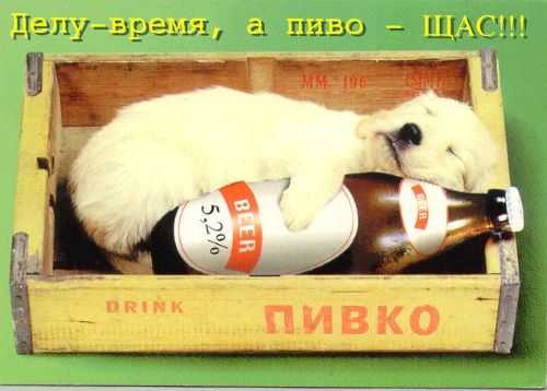 20 лучших мировых сортов пива.