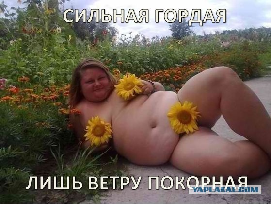 Весёлые картинки. Разбавим будни