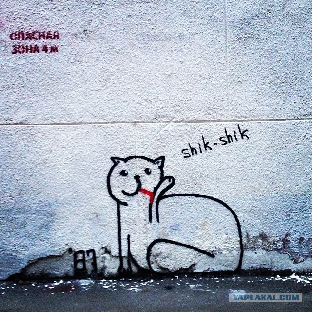Котовторник 17.06.2014