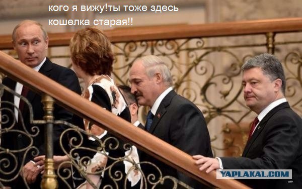 Путин прибыл в Минск на переговоры по Украине