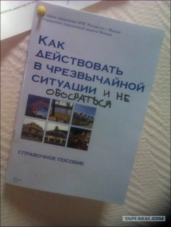 Надписи и объявления с просторов
