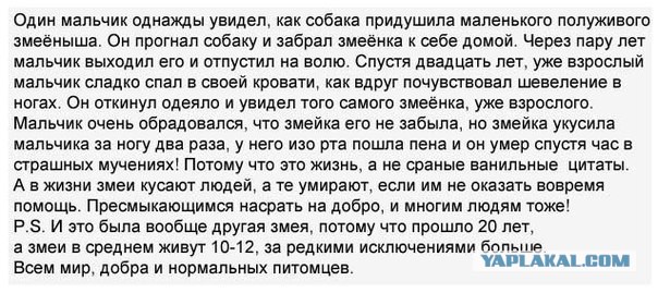 Подборка весёлых картинок