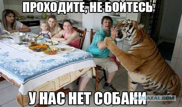 Смешные комментарии из социальных сетей 19.11.14