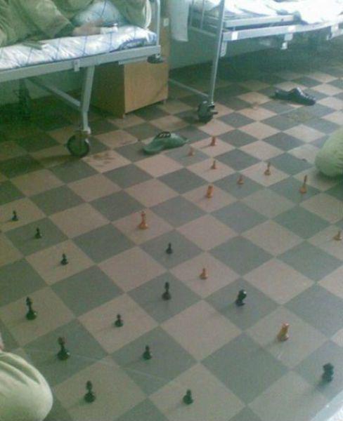 Весёлые картинки