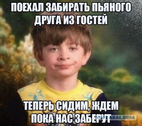 Веселые картинки