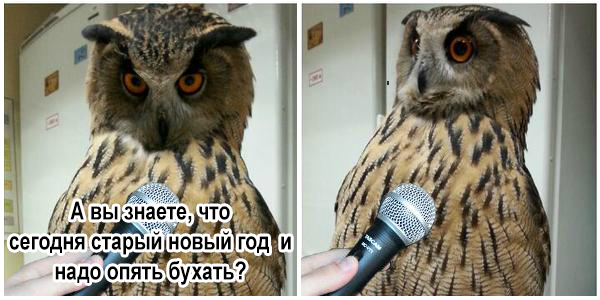 А вы знаете..?