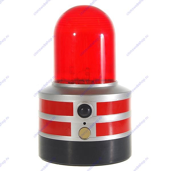 Вышла осмотреть повреждения