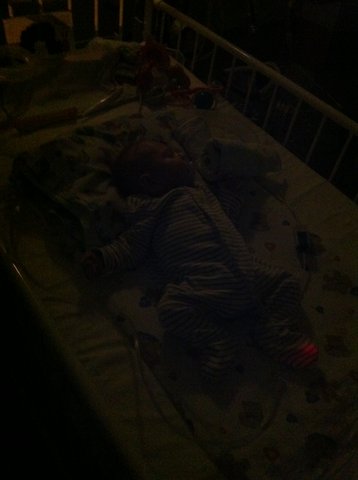 Одни сутки папы