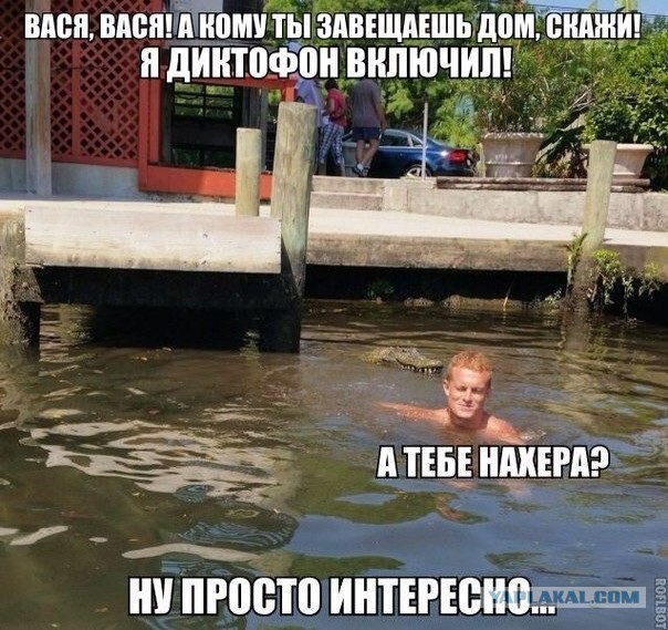 Забавные картинки из Сети