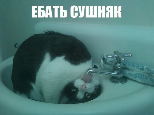 «Летающая тарелка» высосала воду