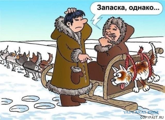 Весёлости в картинках