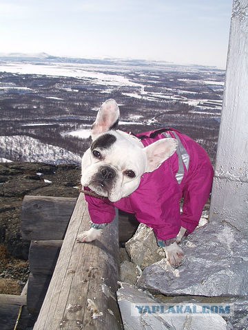 Немного Северной лирики