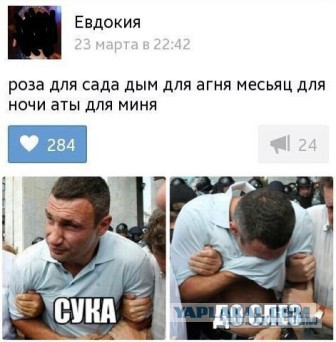 Смешные комментарии из социальных сетей