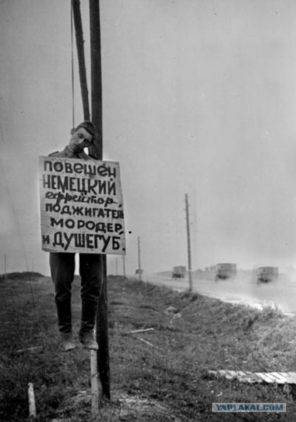 Отчеты о войне