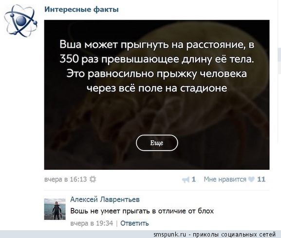 Смешные комментарии из социальных сетей