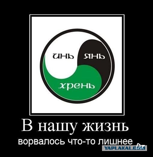 Ну тупые!